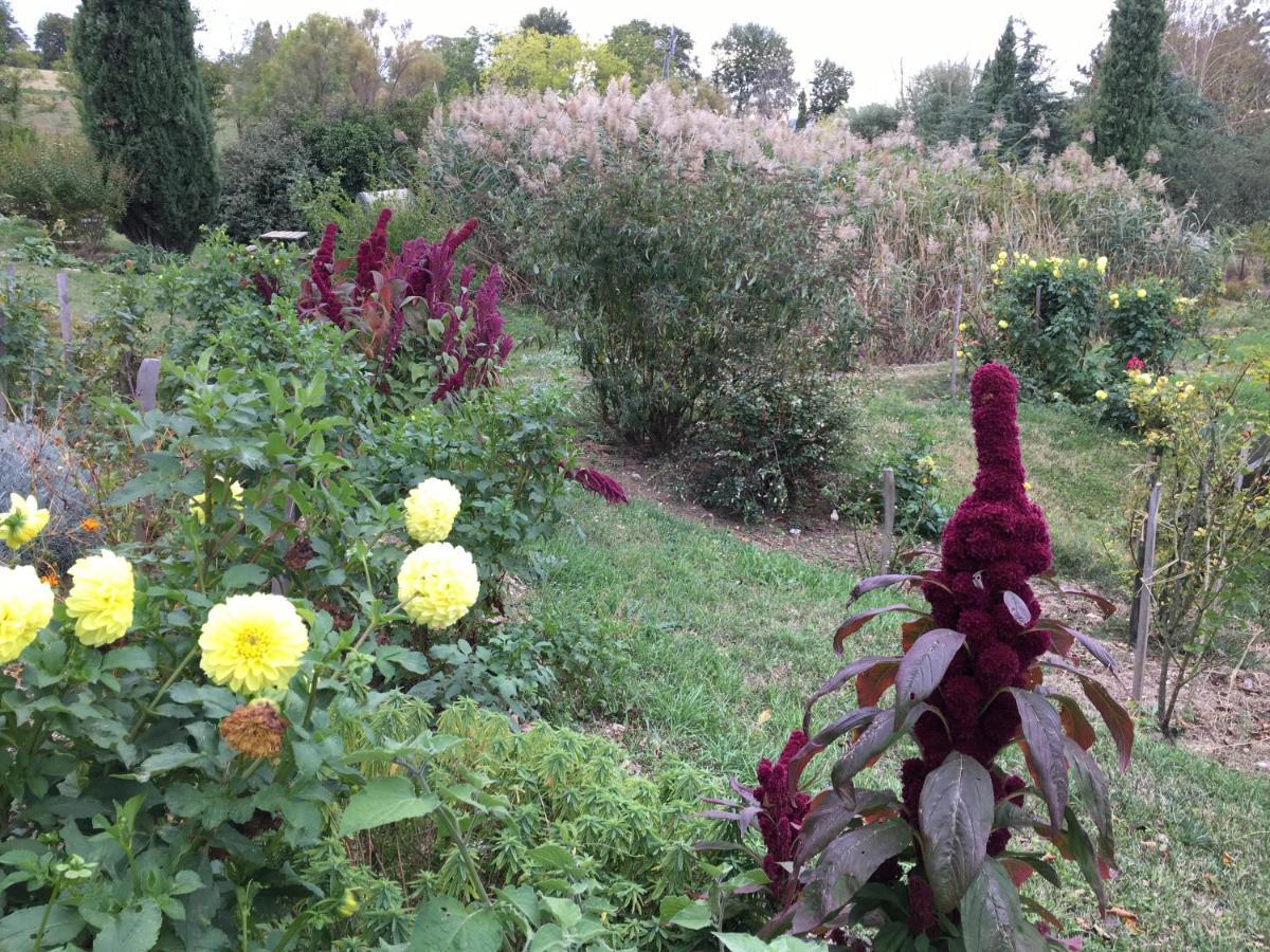 La Source, Vegetarian Guest House Chabeuil Dış mekan fotoğraf