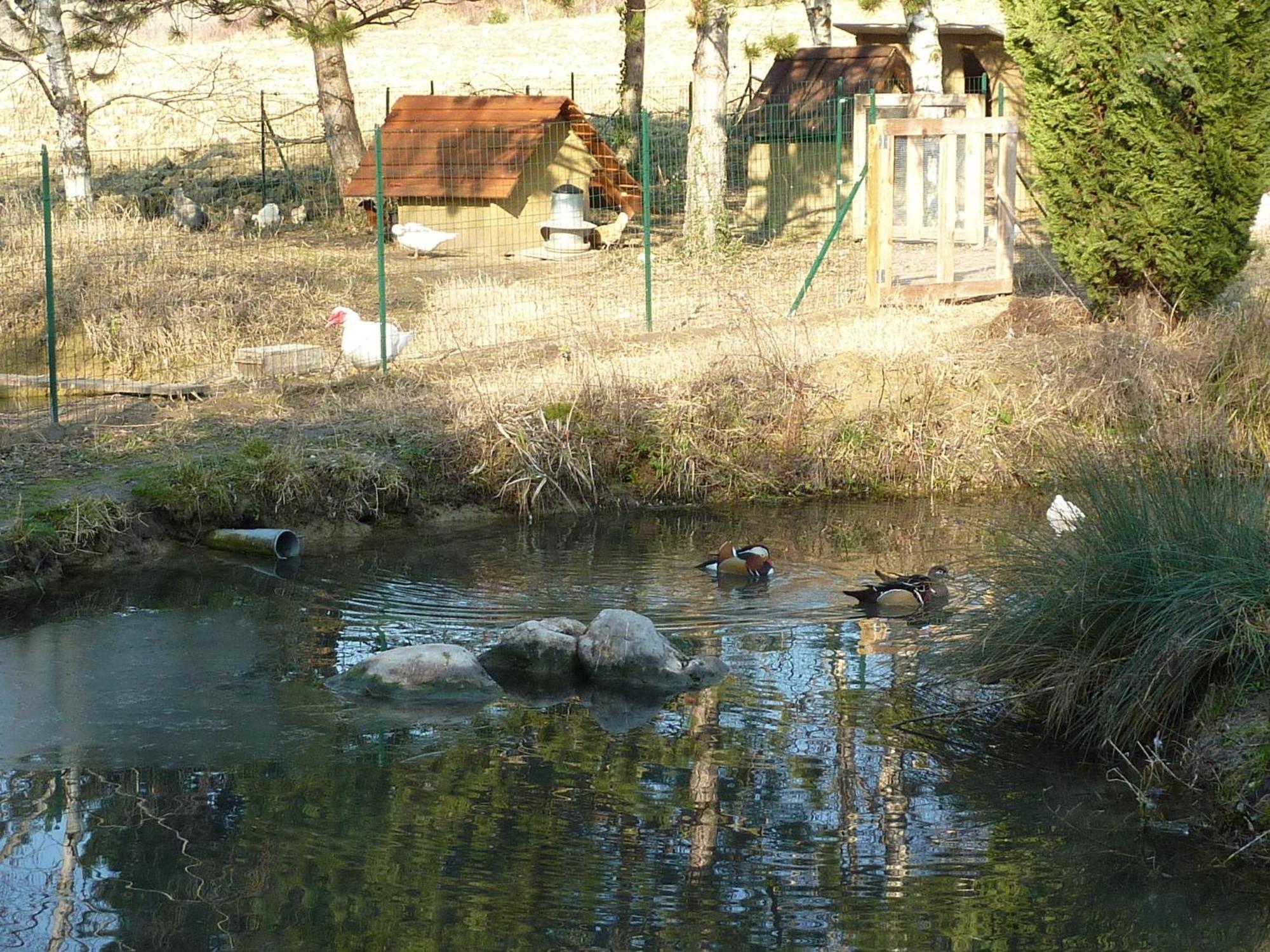 La Source, Vegetarian Guest House Chabeuil Dış mekan fotoğraf